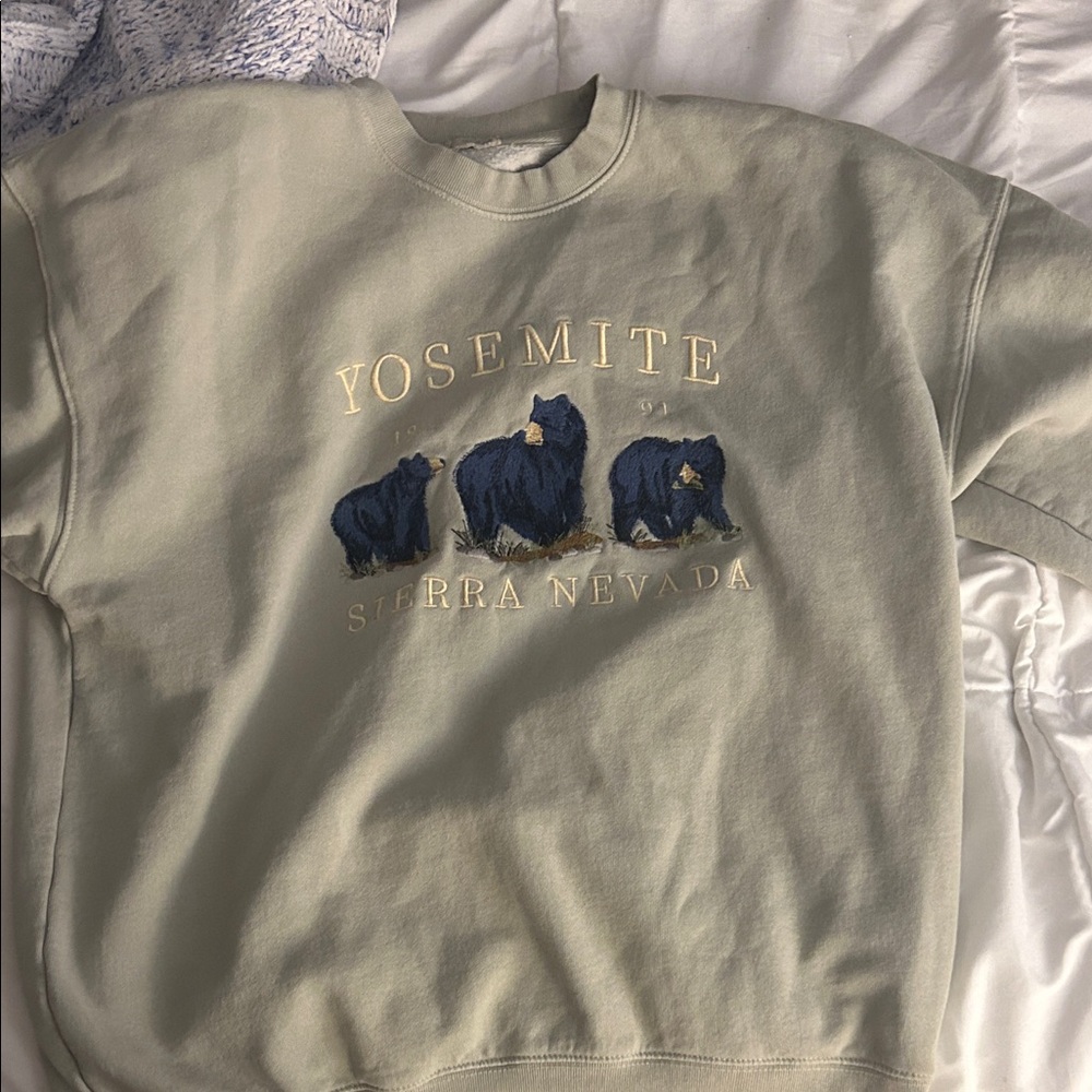 Brandy Melville Gray Yosemite Crew Neck Sweater